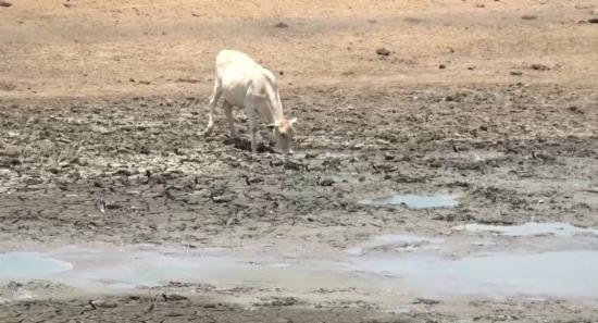 Sri Lanka Swelters Under Extreme Heat Warning